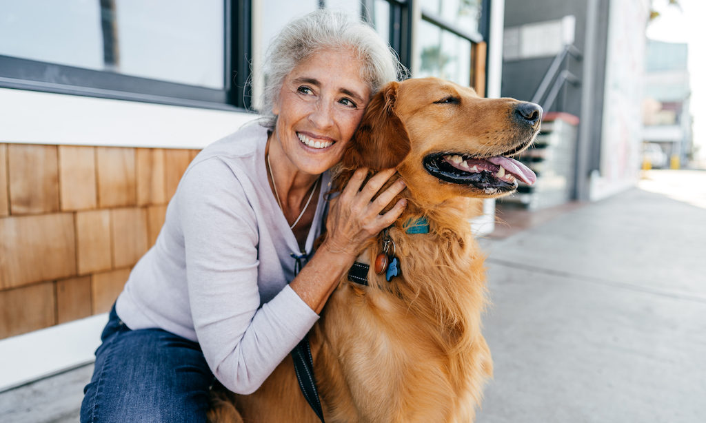 Mainland Animal Clinic Surrey